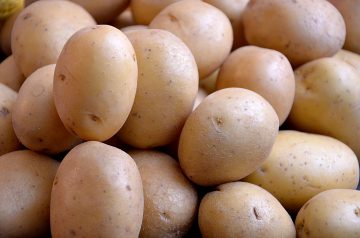 Диагностика патогенов картофеля